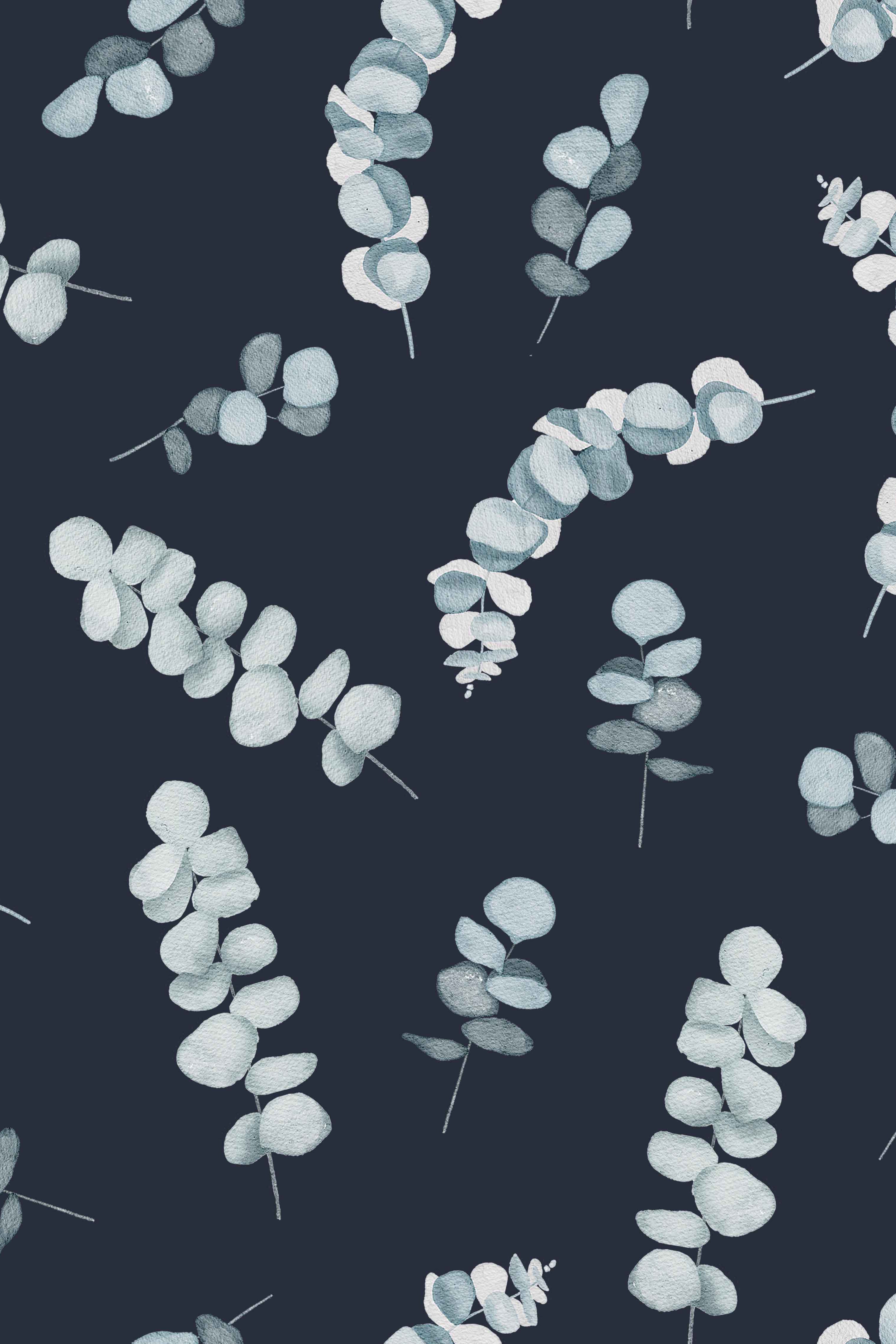 Canva Eucalystus marine